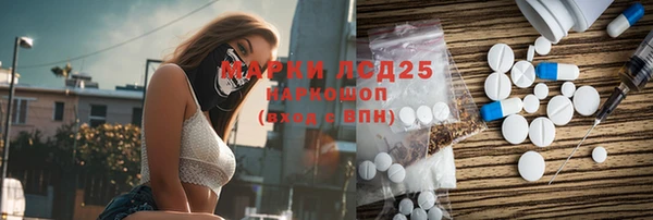 крисы Гусев