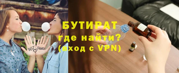 индика Гусь-Хрустальный