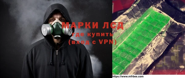 индика Гусь-Хрустальный