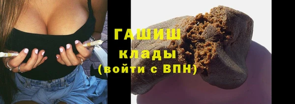 индика Гусь-Хрустальный