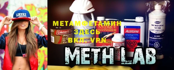индика Гусь-Хрустальный