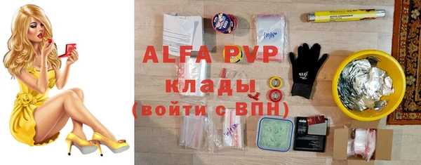 стафф Дмитров