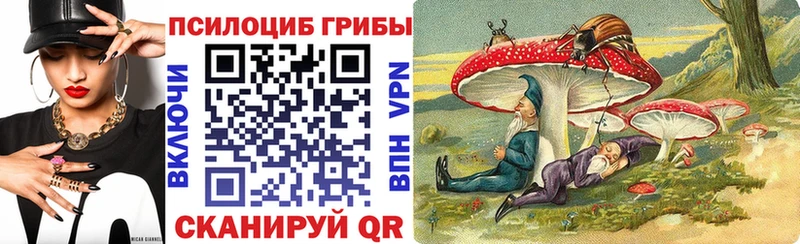 Купить  Усть-Лабинск  Галлюциногенные грибы MAGIC MUSHROOMS 